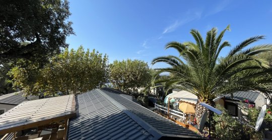 IMG 0117