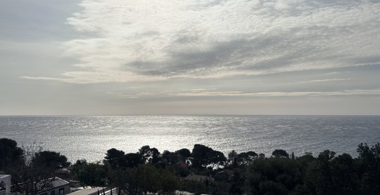 IMG 0612